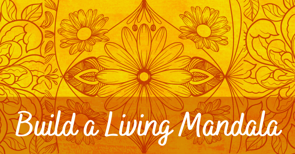 Build a Living Mandala