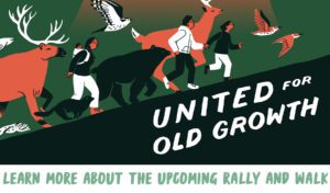 United for Old Growth - Zoom Webinar