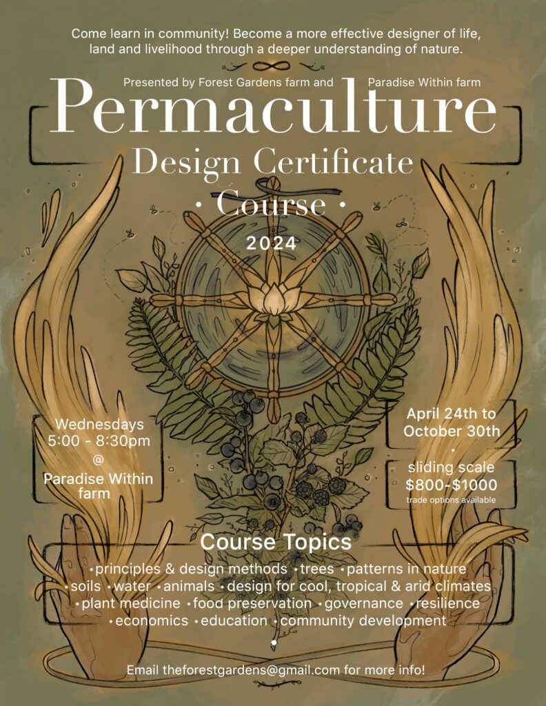 Permaculture Design Course 2024